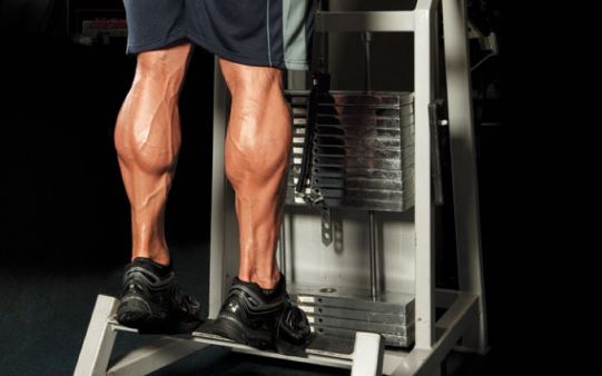 برنامه تمرینی برای افزایش عضلات ساق پا