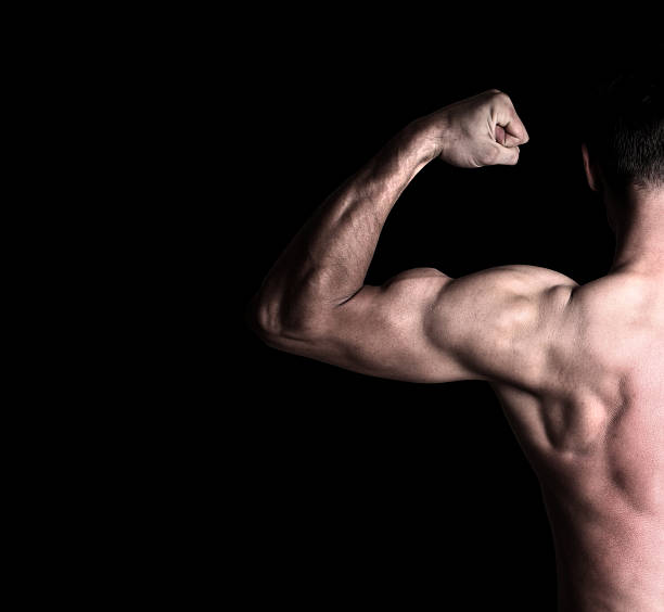Hormones to increase muscle mass