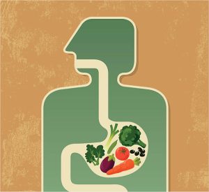 Foods cause abdominal obesity