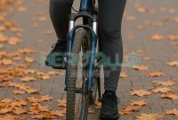 چگونه دوچرخه‌سواری کیفیت زندگی شما را تغییر می‌دهد؟